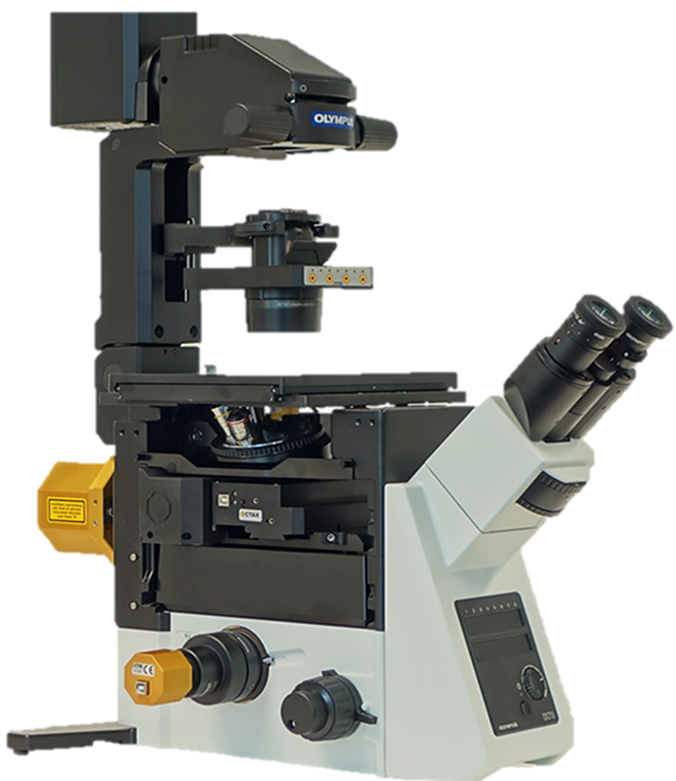 Octax Laser & Görüntüleme Sistemi